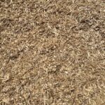 Playground Wood Chips